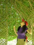 tree5qo.jpg