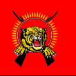 540056_com_flagtamileelamcropped.png 540056_com_flagtamileelamcropped.png