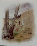 1b94a46.jpg