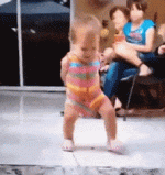 QuickGeneralElephantbeetle-max-1mb.gif