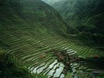 Batad 01.jpg