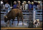 most_dangerous_moments_of_rodeo_08.jpg