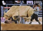 most_dangerous_moments_of_rodeo_11.jpg