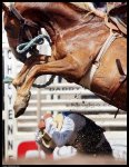 most_dangerous_moments_of_rodeo_17.jpg