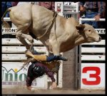 most_dangerous_moments_of_rodeo_15.jpg