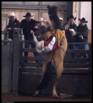 most_dangerous_moments_of_rodeo_14.jpg