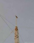marennahadanaminissu201104013.jpg