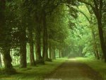 nature wild01.jpg nature wild01.jpg