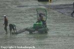 SRL_cricket-1.jpg