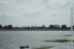 DSC02544.jpg