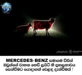 FB_IMG_16870904808047892.jpg