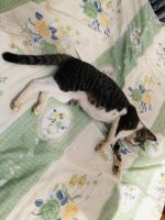 IMG_8503.jpeg