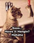 Hows_It_Hangin.jpg