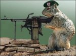 funny%2520pictures%2520armrodent.jpg