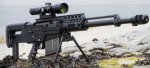 gun 1.jpg