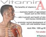 securedownload.jpeg