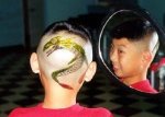 hair_style_dragon111.jpg