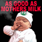 Bunnin baby.gif