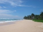 DSC02506.JPG