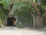 Picture 002.jpg