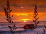 32503sunrise-sun-stone-wave.jpg