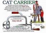 catcar.jpg