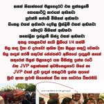 FB_IMG_1707102772051.jpg