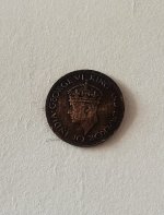 IMG_7020.jpeg