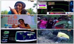 pitasakwala abirahasa 2011 screen.jpg