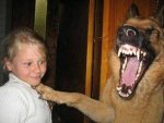 laughing-dog4.jpg laughing-dog4.jpg