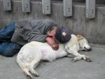 mans-best-friend-mirinda-kossoff_2nd.jpg