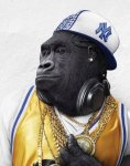 monkey-tribal-funny-monkey-pictures-09.jpg