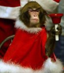 santamonkey.jpg