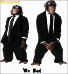 monkey03.jpg