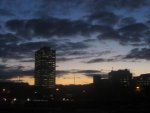 IMG_1193.jpg
