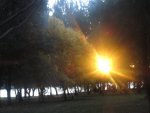 IMG_0956.jpg