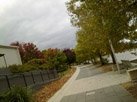 18052010098.jpg