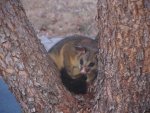 IMG_1195.jpg