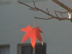 IMG_1183.jpg