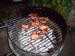 250px-Bbq_chicken_wings.JPG