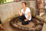 prony_the_python_640_04.jpg