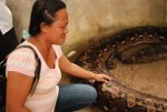 prony_the_python_640_06.jpg