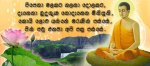 227414_226332570717537_100000223877328_1092085_1761456_n.jpg