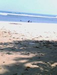 IMG1944A.jpg