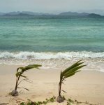 maduraonline-04.jpg