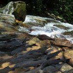maduraonline-07.jpg