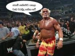 wwe6.jpg