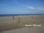 DSC02459.JPG