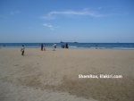 DSC02460.JPG
