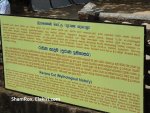 DSC02518.JPG